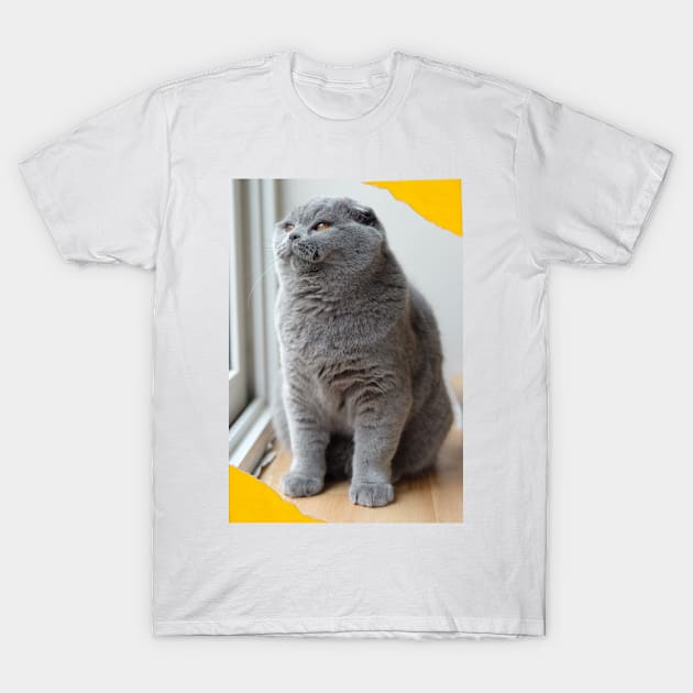 The biue cute cats T-Shirt by kunasin